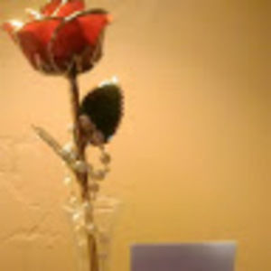 Meet your Posher, Kelley